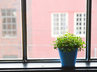 在线手机号呼死你